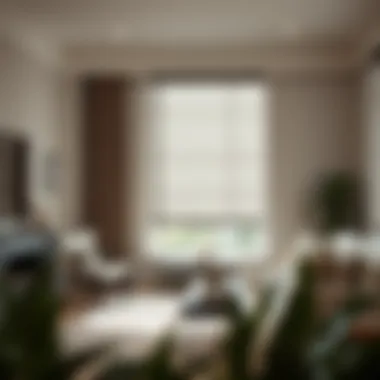 Magnificent Exploring Affordable Shades: Style and Functionality Magnificent Exploring Affordable Shades: Style and Functionality