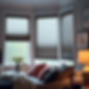 Magnificent Exploring Cheap Room Darkening Cellular Shades Magnificent Exploring Cheap Room Darkening Cellular Shades