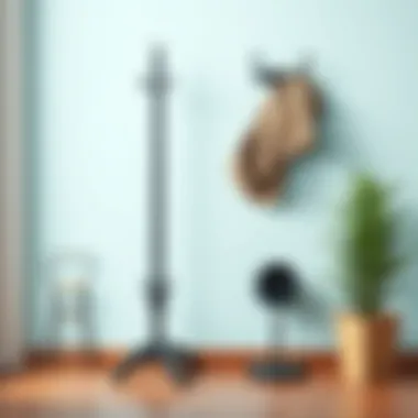 Magnificent Integrating Functionality and Style: The Coat Rack Shoe Holder Magnificent Integrating Functionality and Style: The Coat Rack Shoe Holder