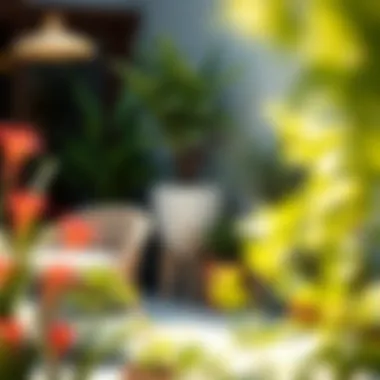 Magnificent Outdoor Potted Plants for Patio: A Comprehensive Guide Magnificent Outdoor Potted Plants for Patio: A Comprehensive Guide