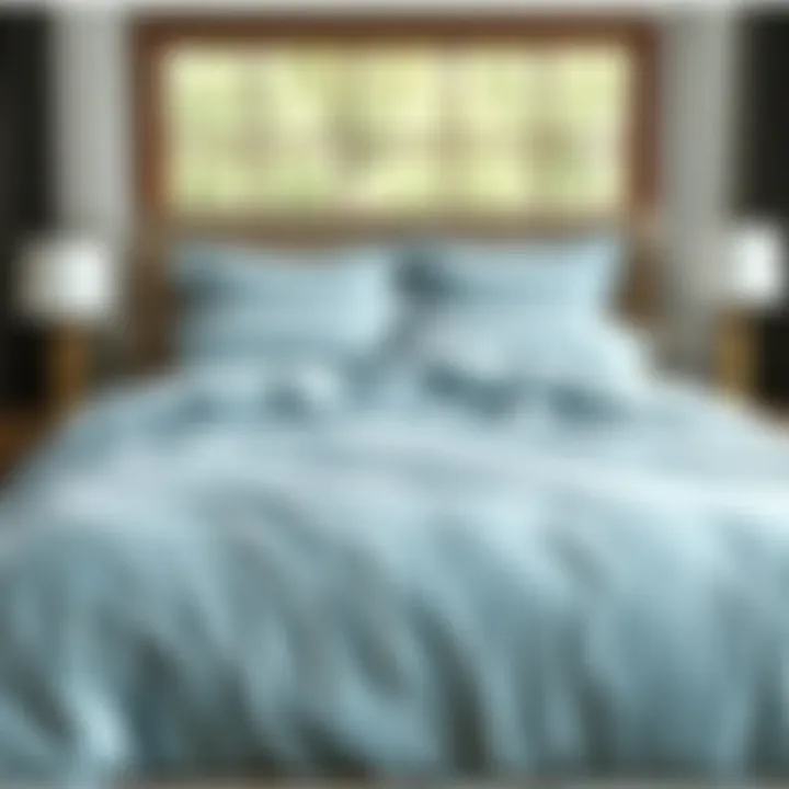 Magnificent The Aesthetics and Practicality of Light Blue Duvet Covers in King Size