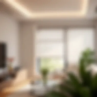 Magnificent Transparent Plastic Window Roller Shades: An In-depth Analysis