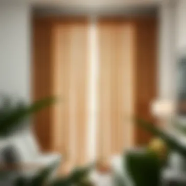 Magnificent Understanding Bamboo Beaded Curtains: A Comprehensive Guide Magnificent Understanding Bamboo Beaded Curtains: A Comprehensive Guide