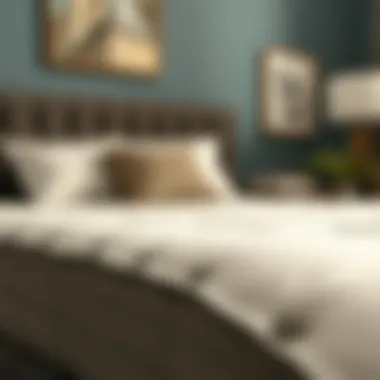 Magnificent Understanding Mattress Fitted Sheet Clips: A Comprehensive Guide Magnificent Understanding Mattress Fitted Sheet Clips: A Comprehensive Guide