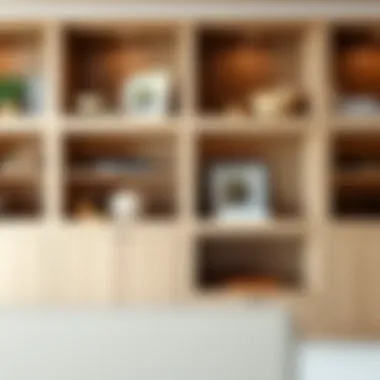 Magnificent Utilizing Deep Shelves: Maximizing Space and Aesthetics Magnificent Utilizing Deep Shelves: Maximizing Space and Aesthetics