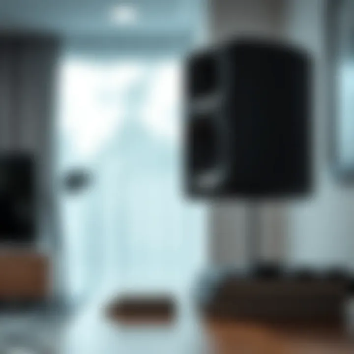 Magnificent Wireless Bluetooth House Speakers: A Comprehensive Exploration