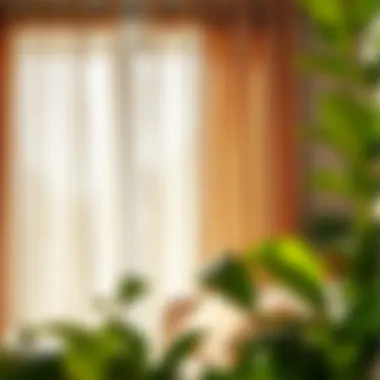 Notable Discovering Local Drapes: A Guide to Finding the Perfect Window Treatments Near You Notable Discovering Local Drapes: A Guide to Finding the Perfect Window Treatments Near You