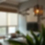 Exploring Affordable Shades: Style and Functionality Introduction