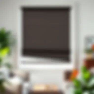 Notable Exploring Affordable Shades: Style and Functionality Notable Exploring Affordable Shades: Style and Functionality