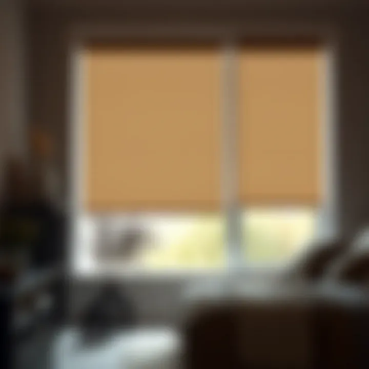 Notable Exploring Cheap Room Darkening Cellular Shades