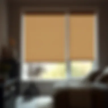 Notable Exploring Cheap Room Darkening Cellular Shades Notable Exploring Cheap Room Darkening Cellular Shades