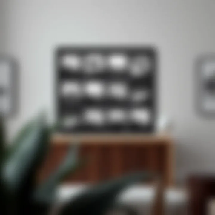 A 23 x 16 inch frame elegantly displaying a series of black and white photographs.