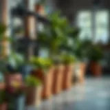Exploring Job Lot Plant Pots: A Practical Guide Introduction