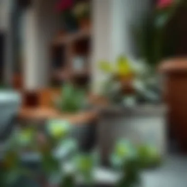 Notable Exploring Job Lot Plant Pots: A Practical Guide