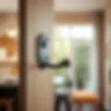 Exploring Metal Door Hooks: Design, Functionality, and Application Introduction