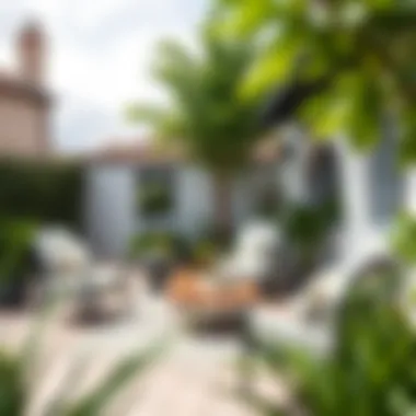 Stylish Patio Furniture and Greenery Elegant patio with stylish furniture and greenery