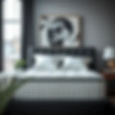 Exploring the 14-Inch Firm Queen Mattress: A Comprehensive Overview Summary Exploring the 14-Inch Firm Queen Mattress: A Comprehensive Overview Summary
