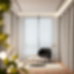 Exploring the Aesthetic and Functional Aspects of White and Black Curtains Introduction