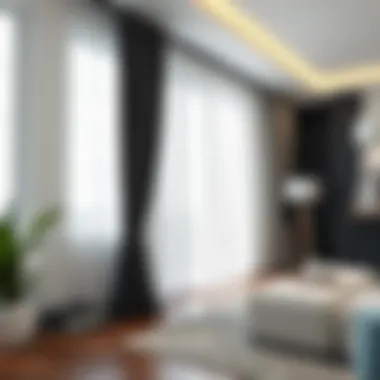 Exploring the Aesthetic and Functional Aspects of White and Black Curtains Summary Exploring the Aesthetic and Functional Aspects of White and Black Curtains Summary