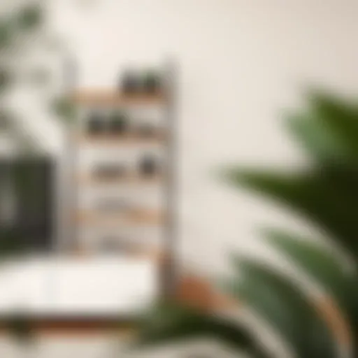 Exploring the Fantol Shelf: Design, Functionality, and Trends Introduction