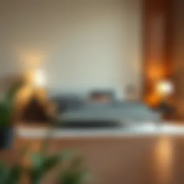 Exploring the Floyd Platform Bed: A Comprehensive Examination Introduction