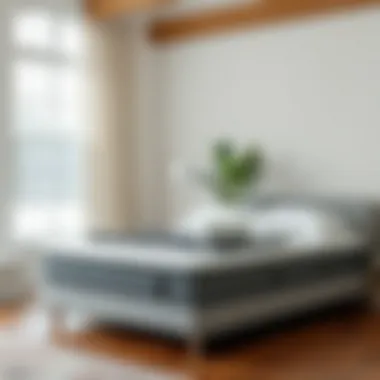 Exploring the Landscape of Foam Mattresses for Sale Summary