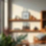 Exploring the Landscape of Natural Wall Shelves Introduction