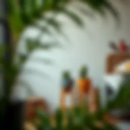 Exploring the Versatility of 36 Inch High Plant Stands Introduction