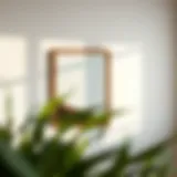 Exploring the Versatility of Glass Poster Frames Introduction