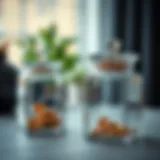 Exploring the Versatility of Rectangular Glass Jars with Lids Introduction