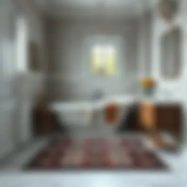 Notable Exploring the World of Bathroom Rugs and Mats Notable Exploring the World of Bathroom Rugs and Mats