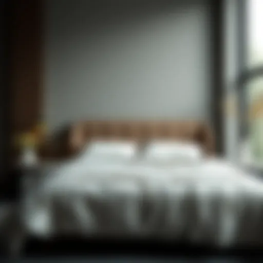 Exploring Utopia Bedding in the USA: A Comprehensive Overview Introduction