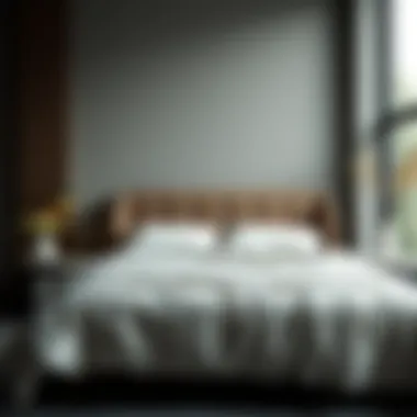 Exploring Utopia Bedding in the USA: A Comprehensive Overview Introduction Exploring Utopia Bedding in the USA: A Comprehensive Overview Introduction