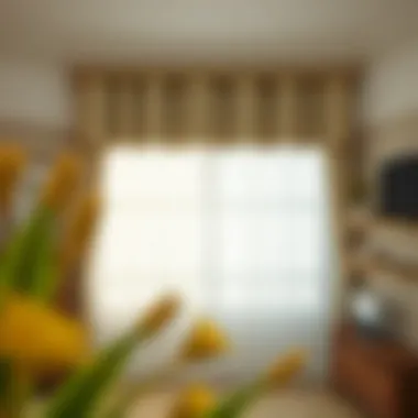 Flat Panel Top Curtains: A Detailed Exploration Summary