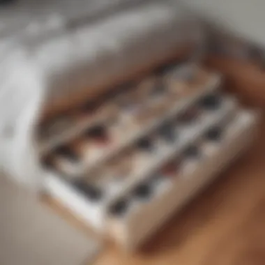 Stylish under-bed storage solutions showcasing versatility
