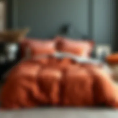 Notable The Allure of Terracotta Colored Comforters: A Comprehensive Guide Notable The Allure of Terracotta Colored Comforters: A Comprehensive Guide