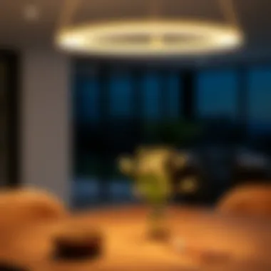 The Arc Lamp: A Distinctive Illumination for Dining Spaces Summary The Arc Lamp: A Distinctive Illumination for Dining Spaces Summary