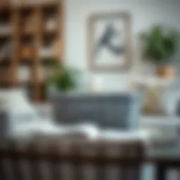 Stylish grey basket arranging books in a modern living room