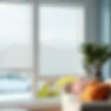 Transparent Plastic Window Roller Shades: An In-depth Analysis Introduction