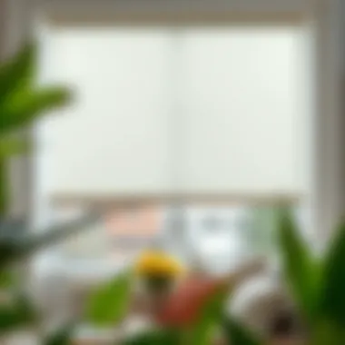 Transparent Plastic Window Roller Shades: An In-depth Analysis Summary Transparent Plastic Window Roller Shades: An In-depth Analysis Summary