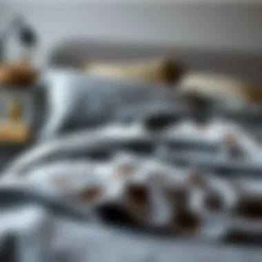 Understanding Jersey Knit Sheet Sets: A Comprehensive Guide Summary Understanding Jersey Knit Sheet Sets: A Comprehensive Guide Summary