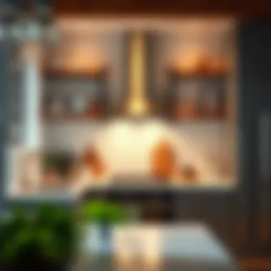 Utilizing 12-Inch Deep Kitchen Shelves: An Insightful Guide Introduction Utilizing 12-Inch Deep Kitchen Shelves: An Insightful Guide Introduction